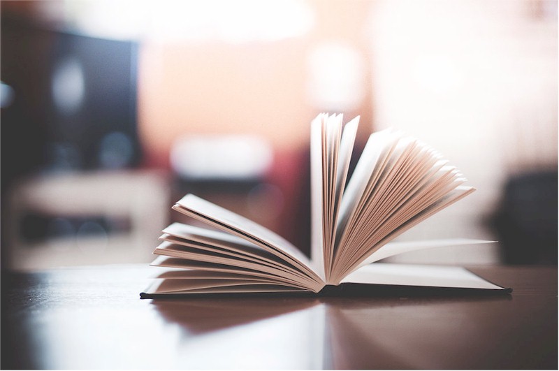 rejoin book reading